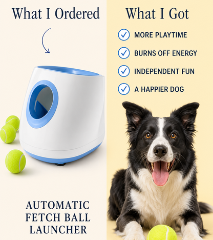 FetchBuddy Ball Launcher™